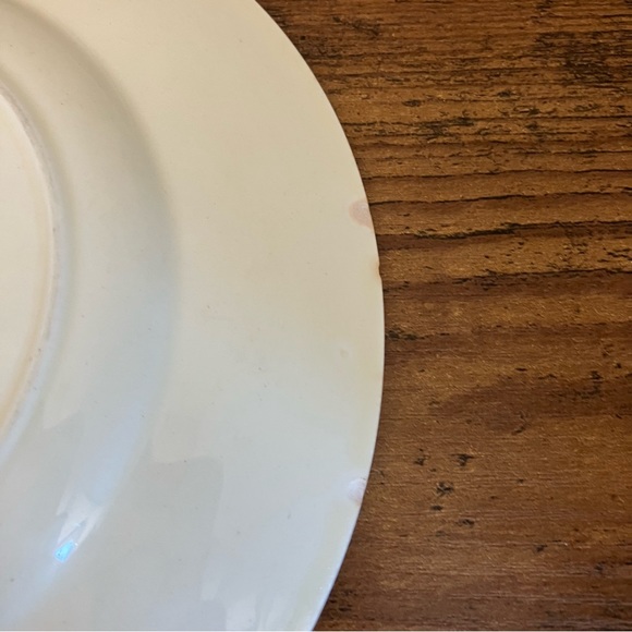 1959-1975 Royal Doulton Bunnykins "Around the rosie" plate - Picture 5 of 8